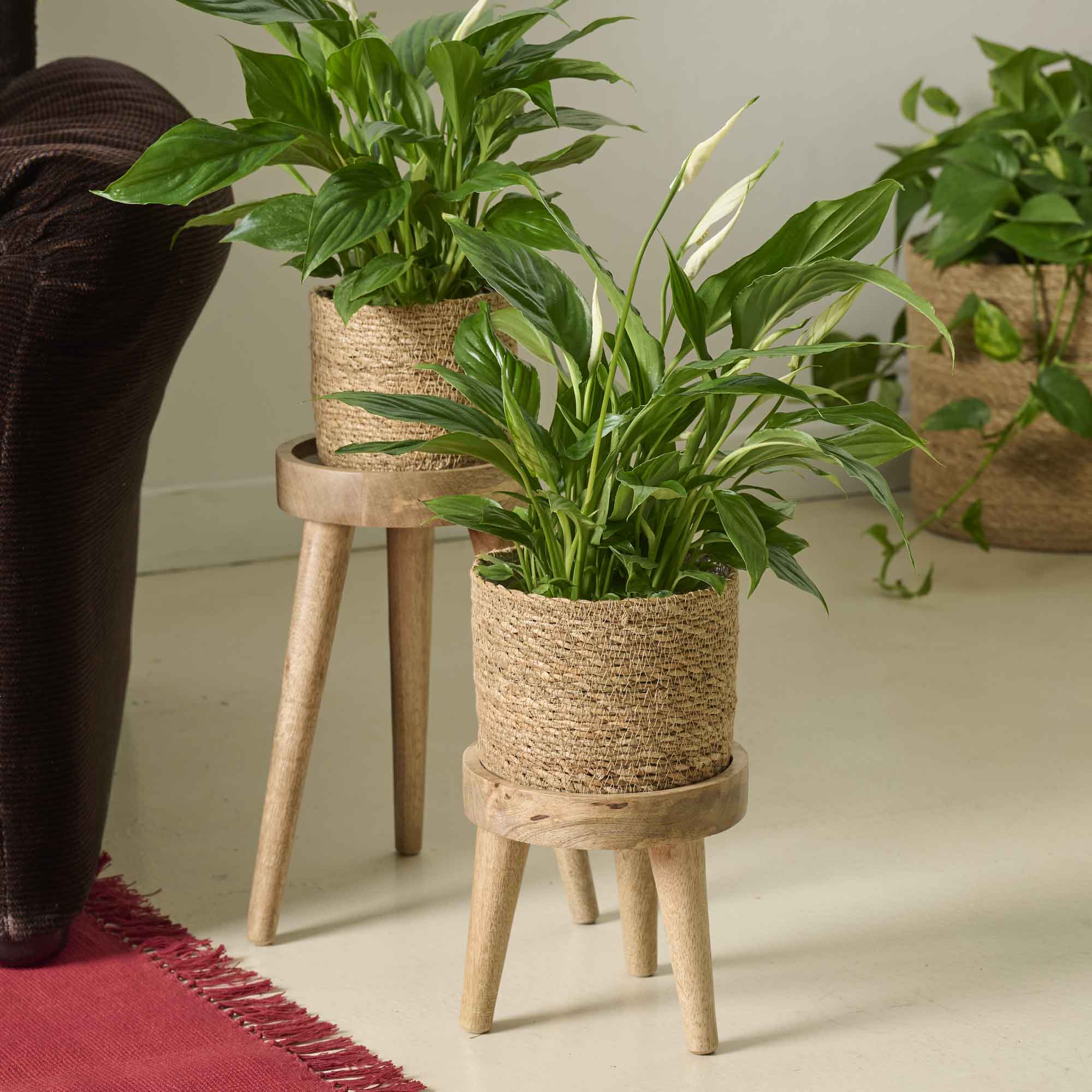 On Earth Cooperative Collection Legs portavaso legno naturale treppiede