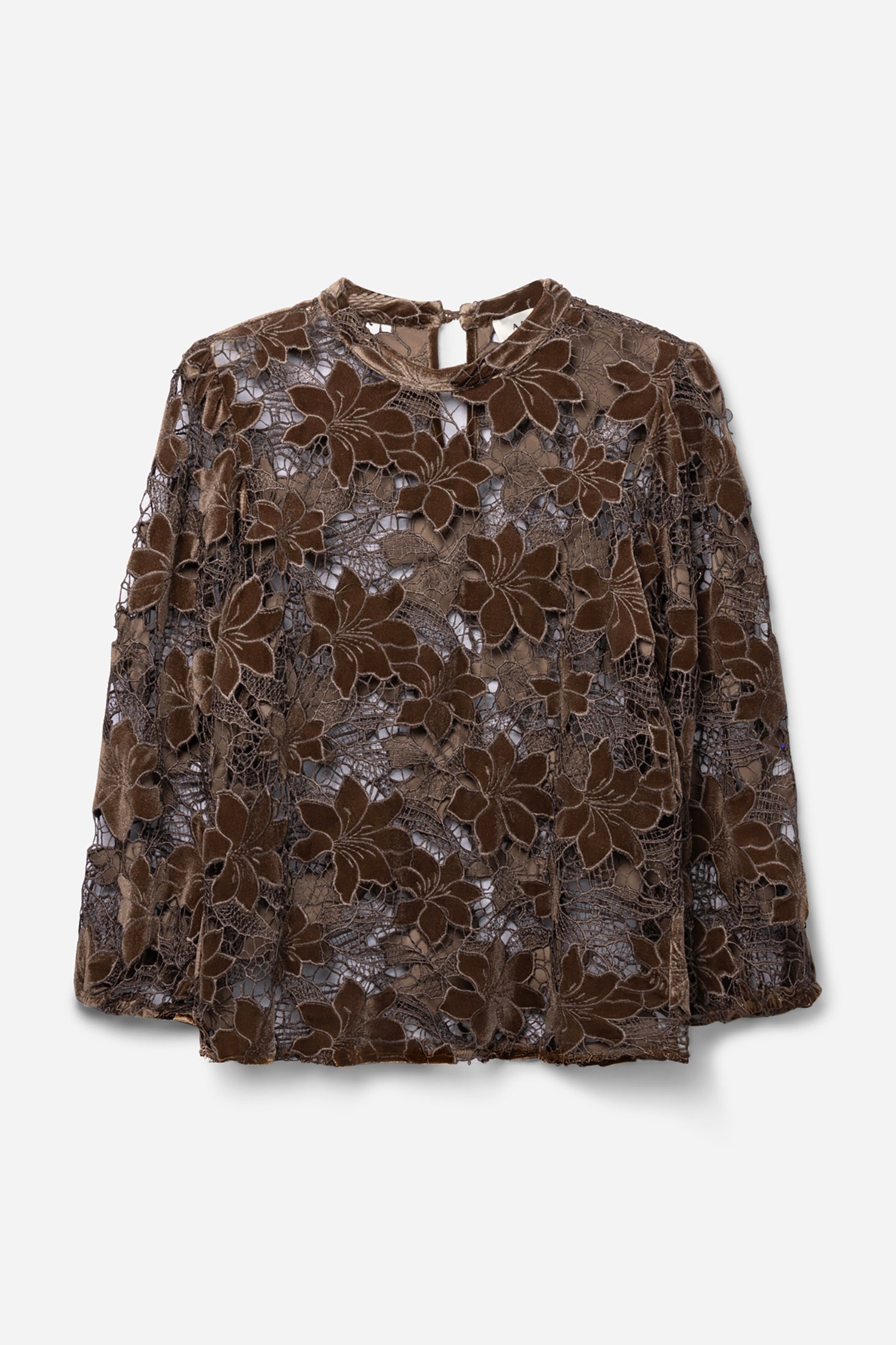 Aaiko Shaila top velluto marrone fudge pizzo floreale