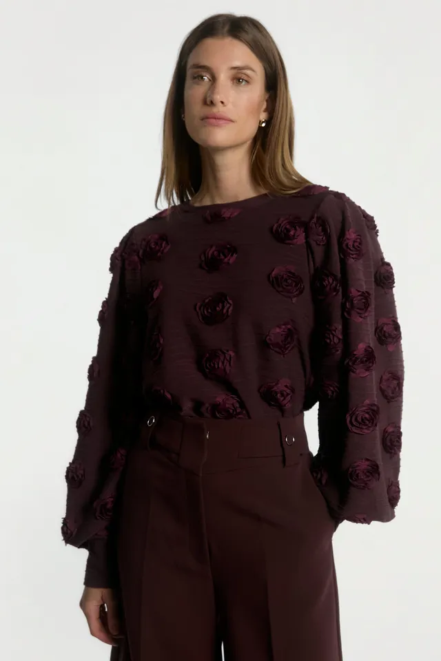 Aaiko Isha top bordeaux fiori 3D
