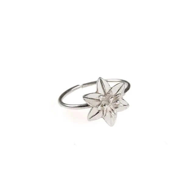 On Earth Bucaneve anello ottone argentato regolabile