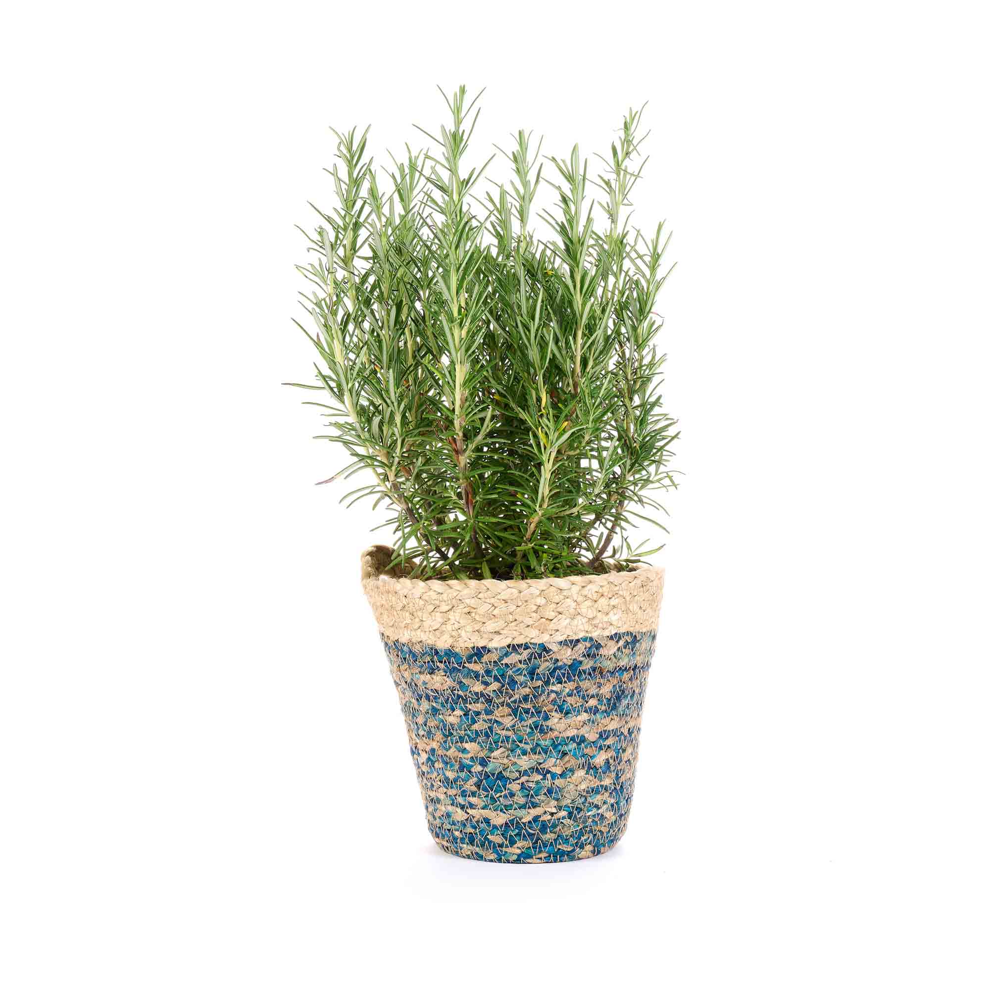On Earth Cooperative Collection Braided cesto juta blu 15 cm