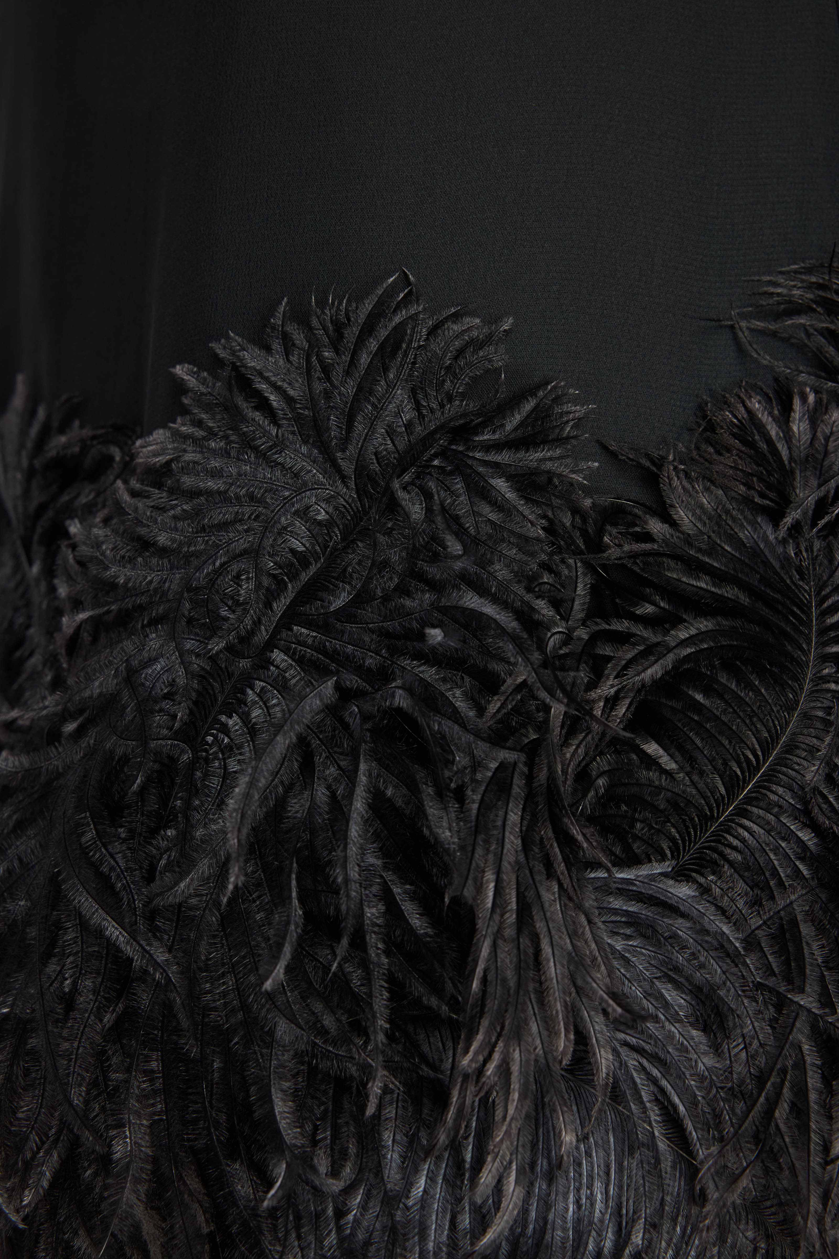 Semicouture Rae abito nero georgette piume