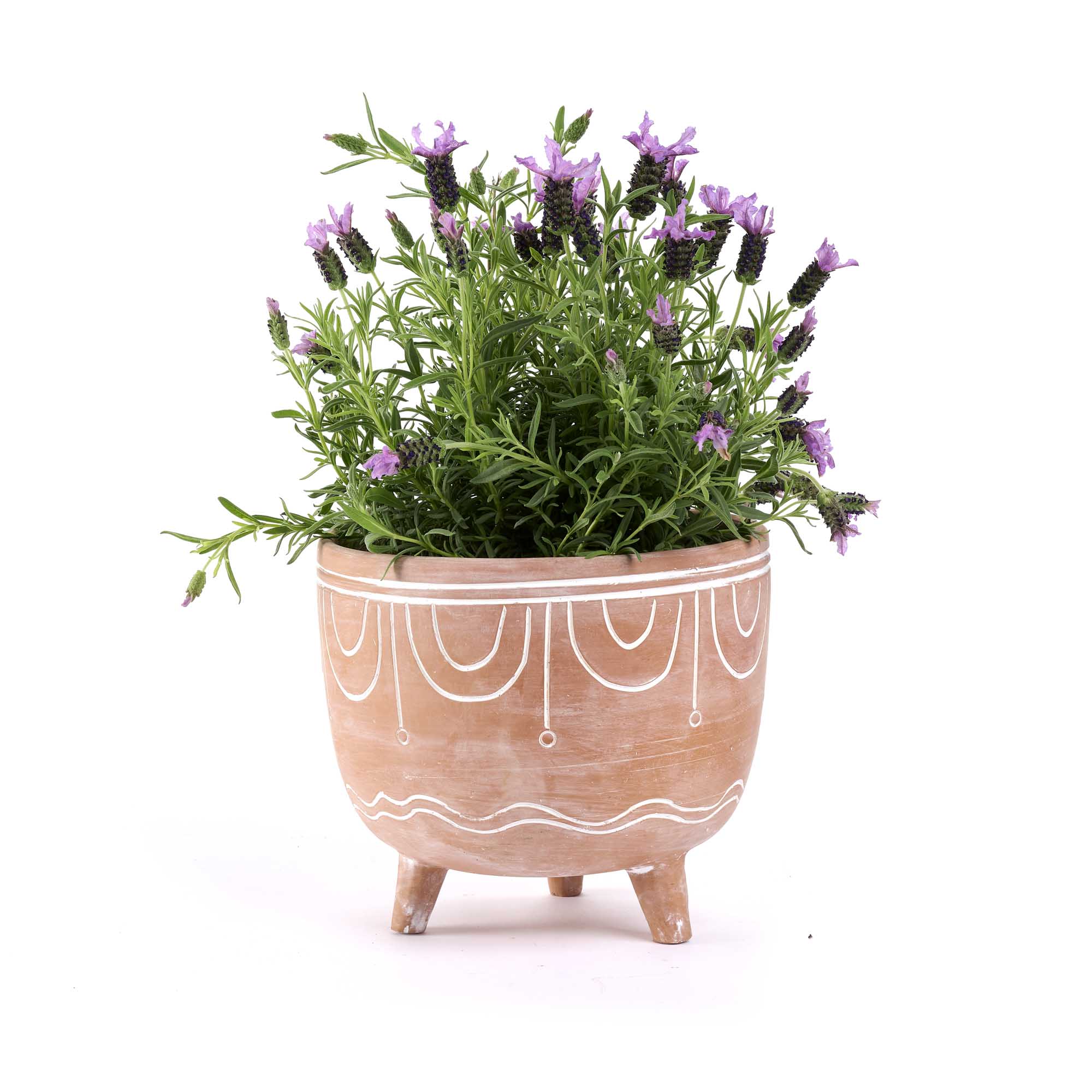 On Earth Cooperative Collection Pins vaso terracotta naturale