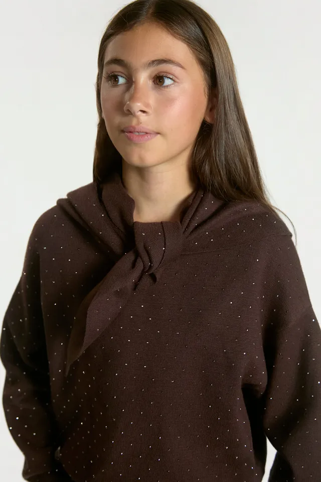 Aaiko Janel sciarpa marrone maglia strass unica